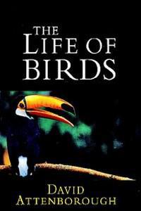 Plakát k filmu The Life of Birds (1998).