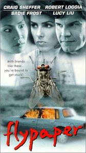 Обложка за Flypaper (1999).