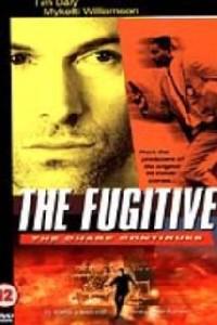 Poster for The Fugitive (2000).