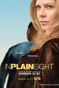 Poster for In Plain Sight (2008).