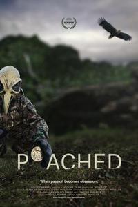 Cartaz para Poached (2015).