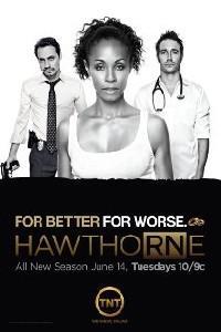 Plakát k filmu Hawthorne (2009).
