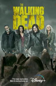 Cartaz para The Walking Dead (2010).