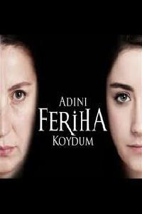 Plakat filma Adini feriha koydum (2011).