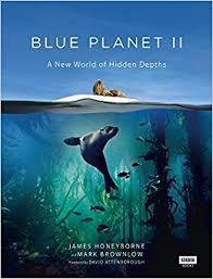 Poster for Blue Planet II (2017).
