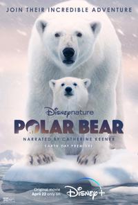 Plakát k filmu Polar Bear (2022).