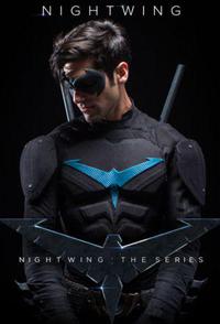 Plakat Nightwing: The Series (2014).