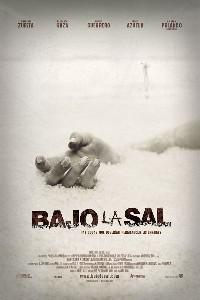 Poster for Bajo la sal (2008).