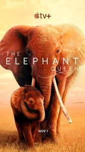 Poster for The Elephant Queen (2019).