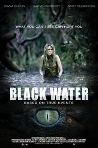 Plakat Black Water (2007).