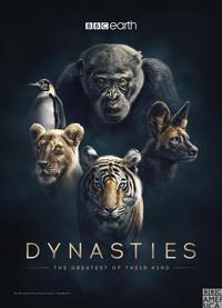 Plakat Dynasties (2018).