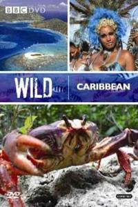 Cartaz para Wild Caribbean (2007).