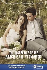 Обложка за The Secret Life of the American Teenager (2008).
